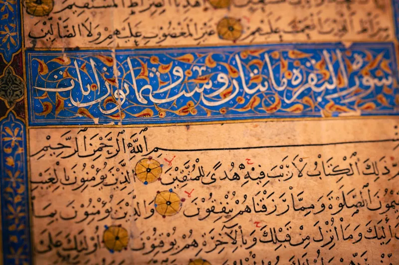 Páginas que guardan el mundo: los manuscritos persas que duermen en las bibliotecas de Madrid